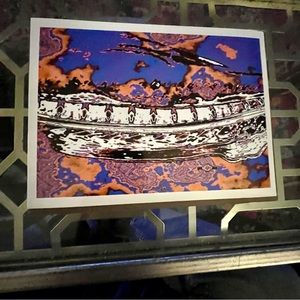 Enhanced Spine x-ray glossy color print Neurotica